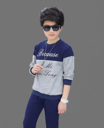 Boys Solid Round Neck T-Shirt (Grey)