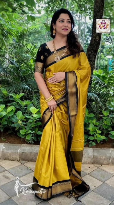 Women Woven Border Saree